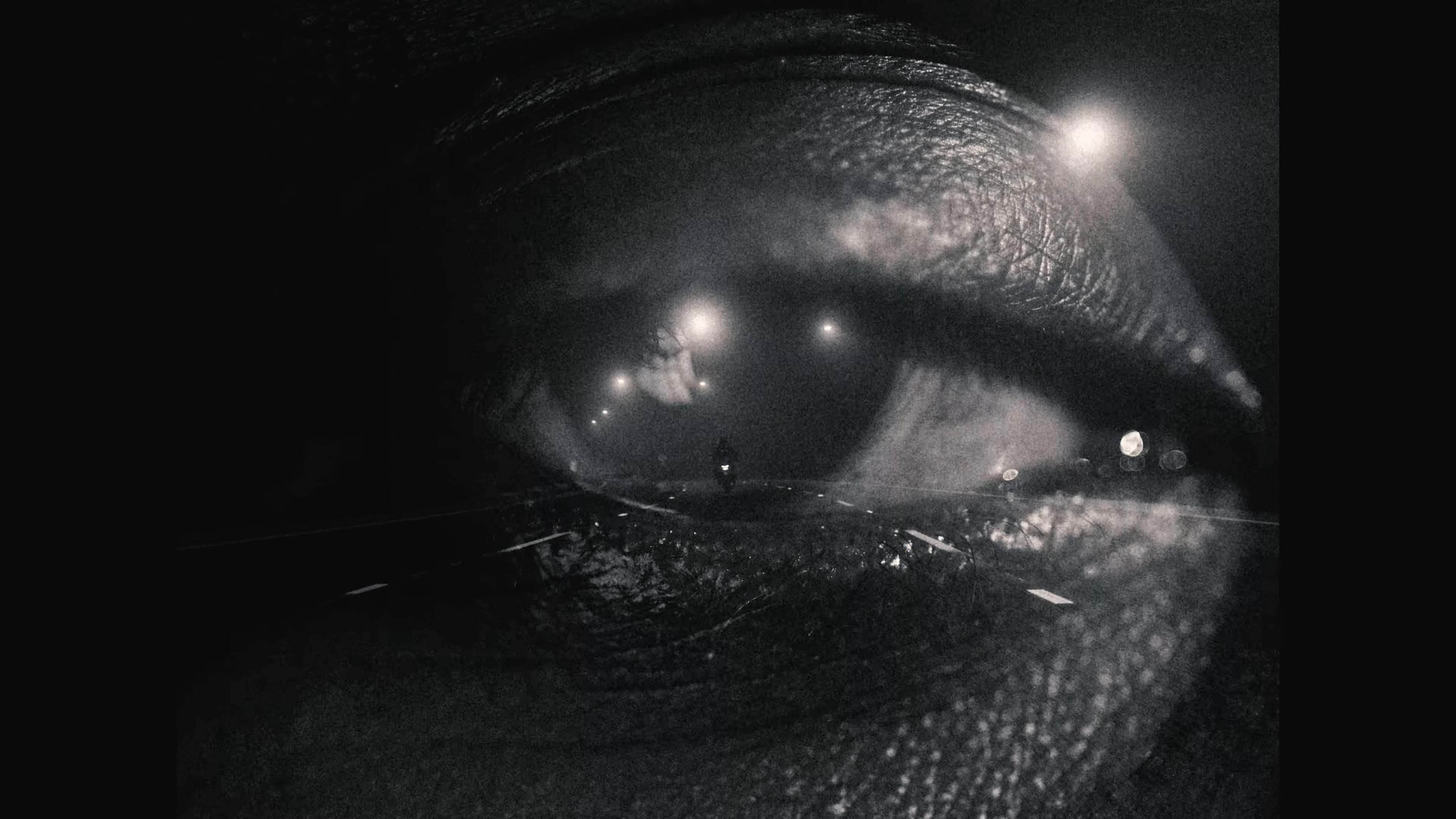 Where We Come From (2025) —  shot,  lighting