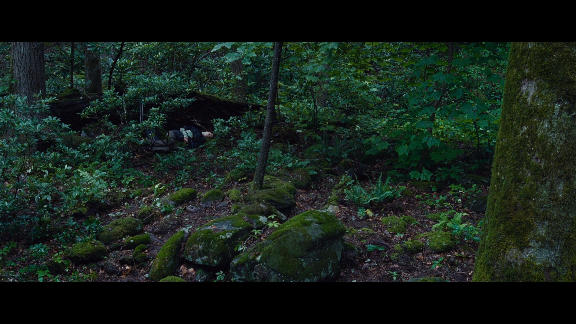 The Hunger Games (2012) —  shot,  lighting