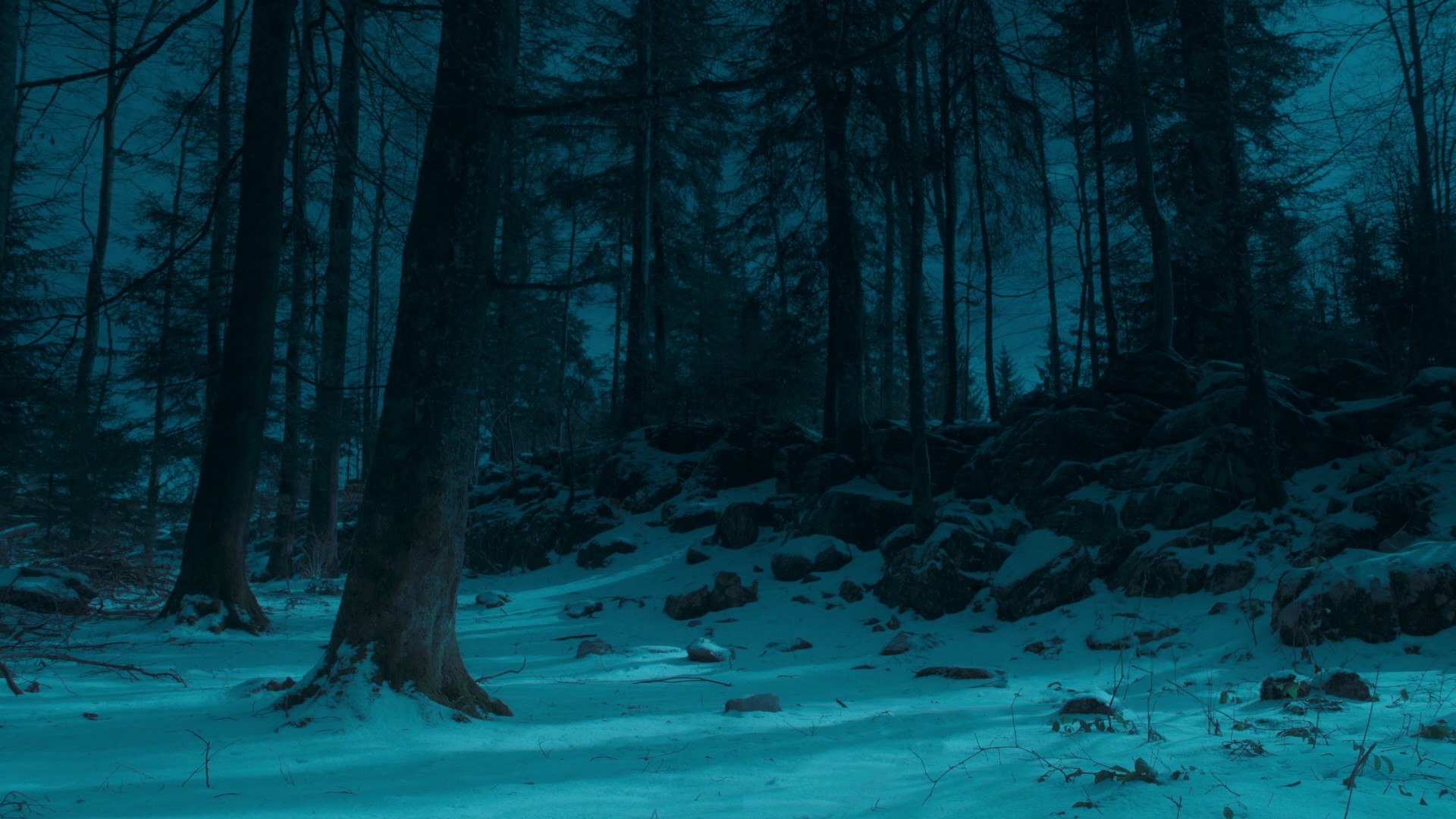 Ice Worlds (2022) —  shot,  lighting