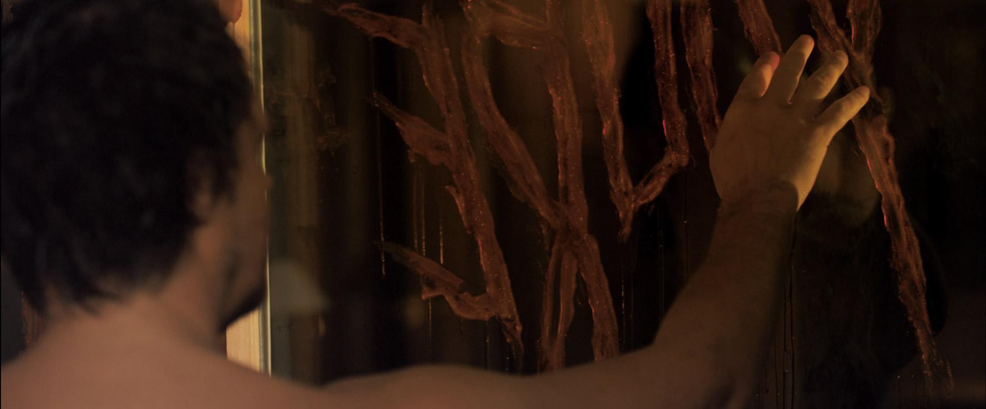 You're Next (2011) —  shot,  lighting