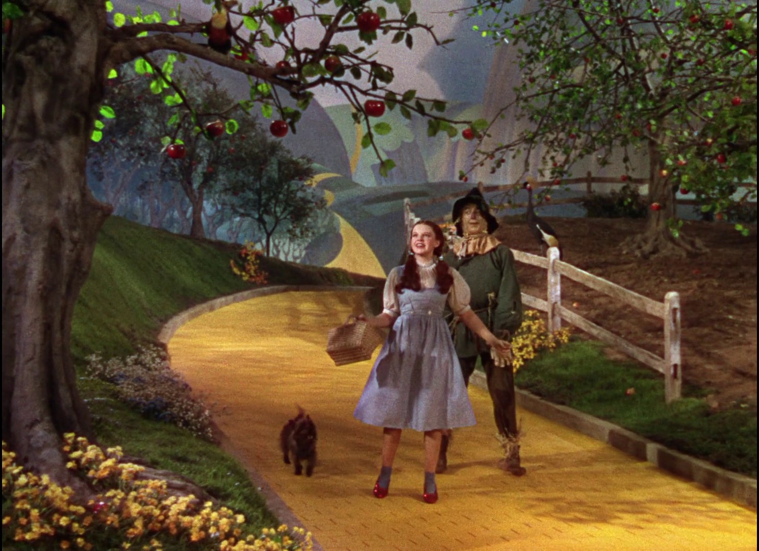 The Wizard of Oz (1939) —  shot,  lighting