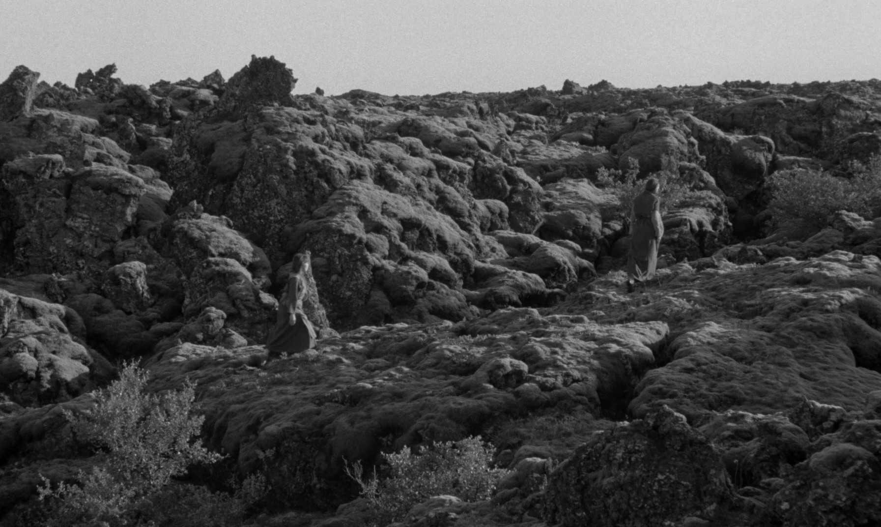 The Juniper Tree (1990) —  shot,  lighting