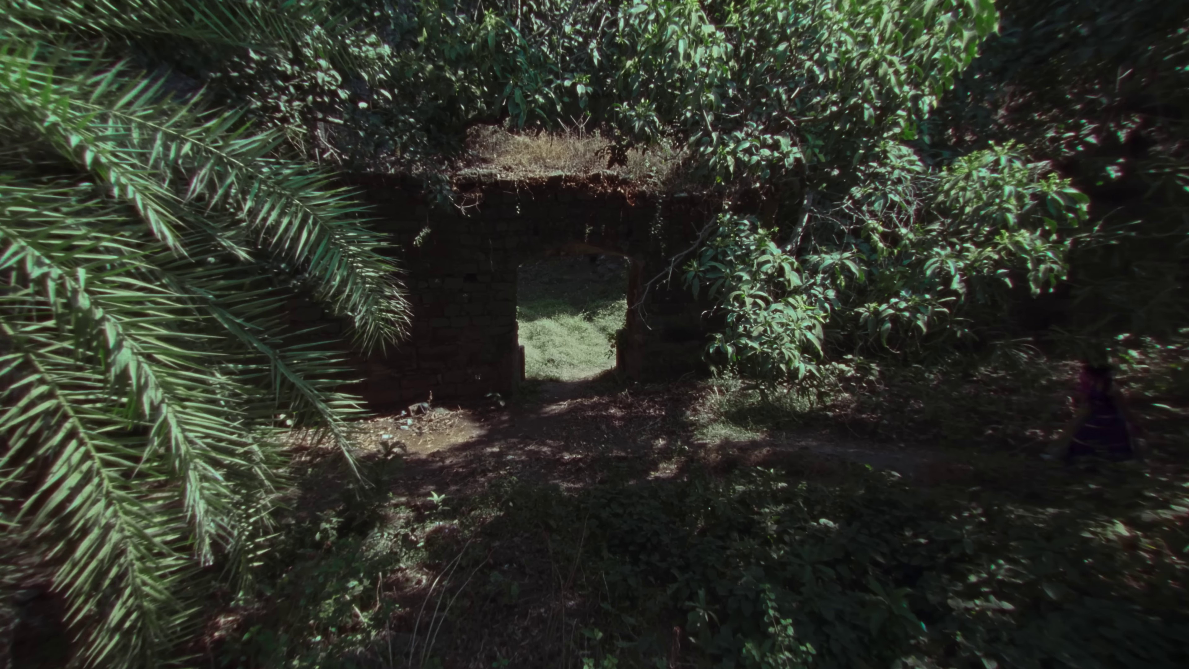 Mystery (2023) —  shot,  lighting