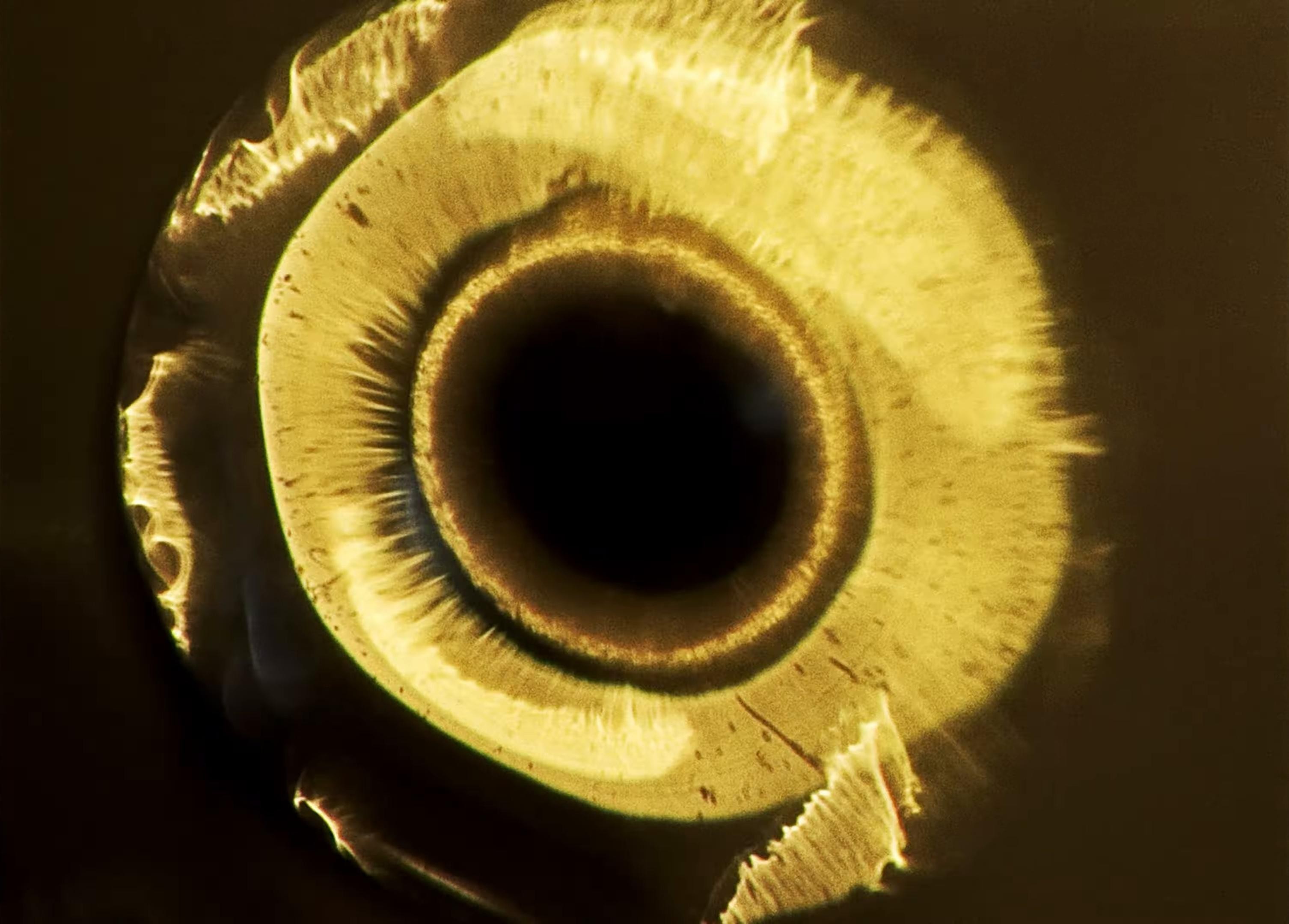 Bol' vernotsya (2025) —  shot,  lighting