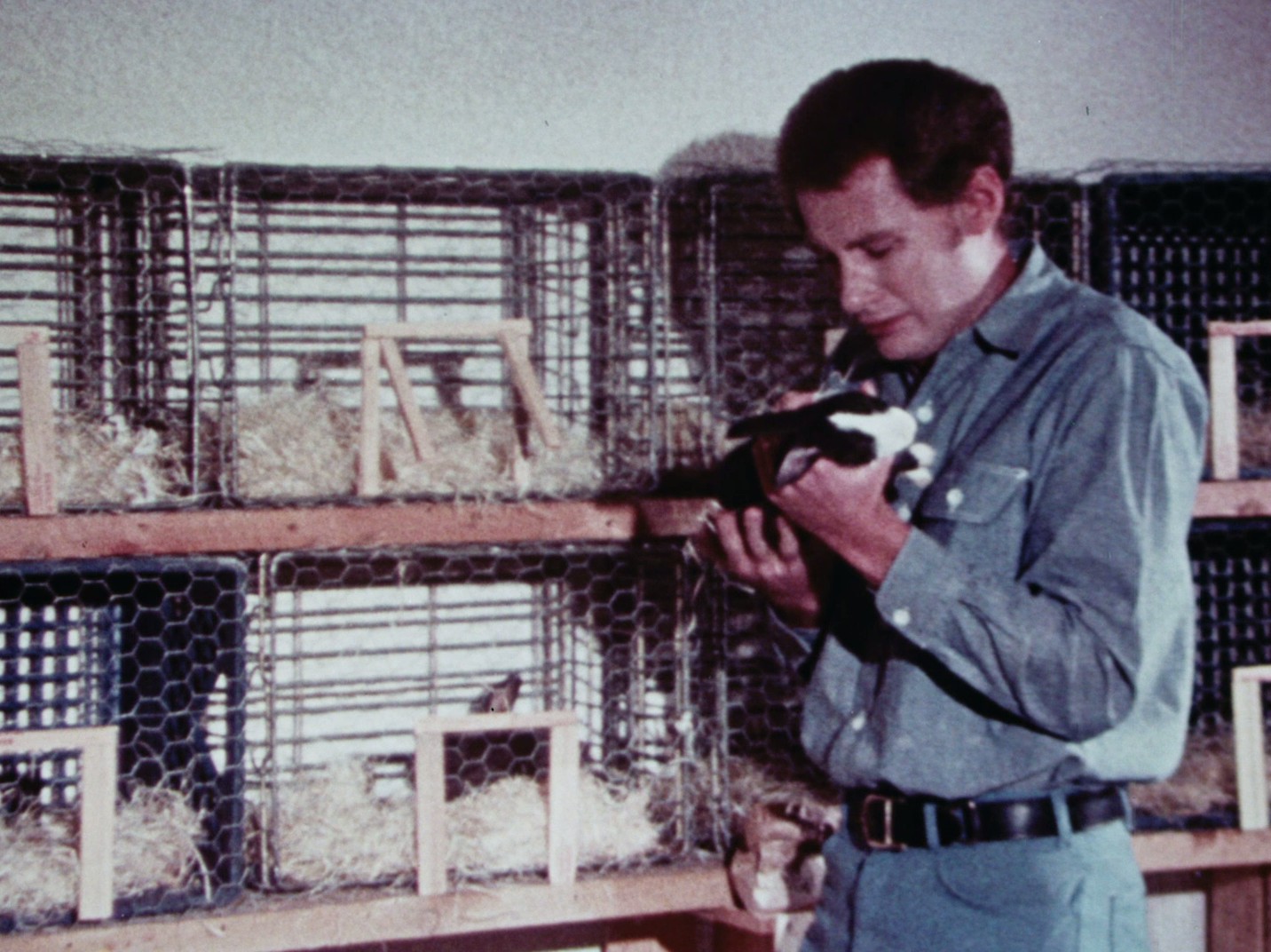 The Zodiac Killer (1971) —  shot,  lighting