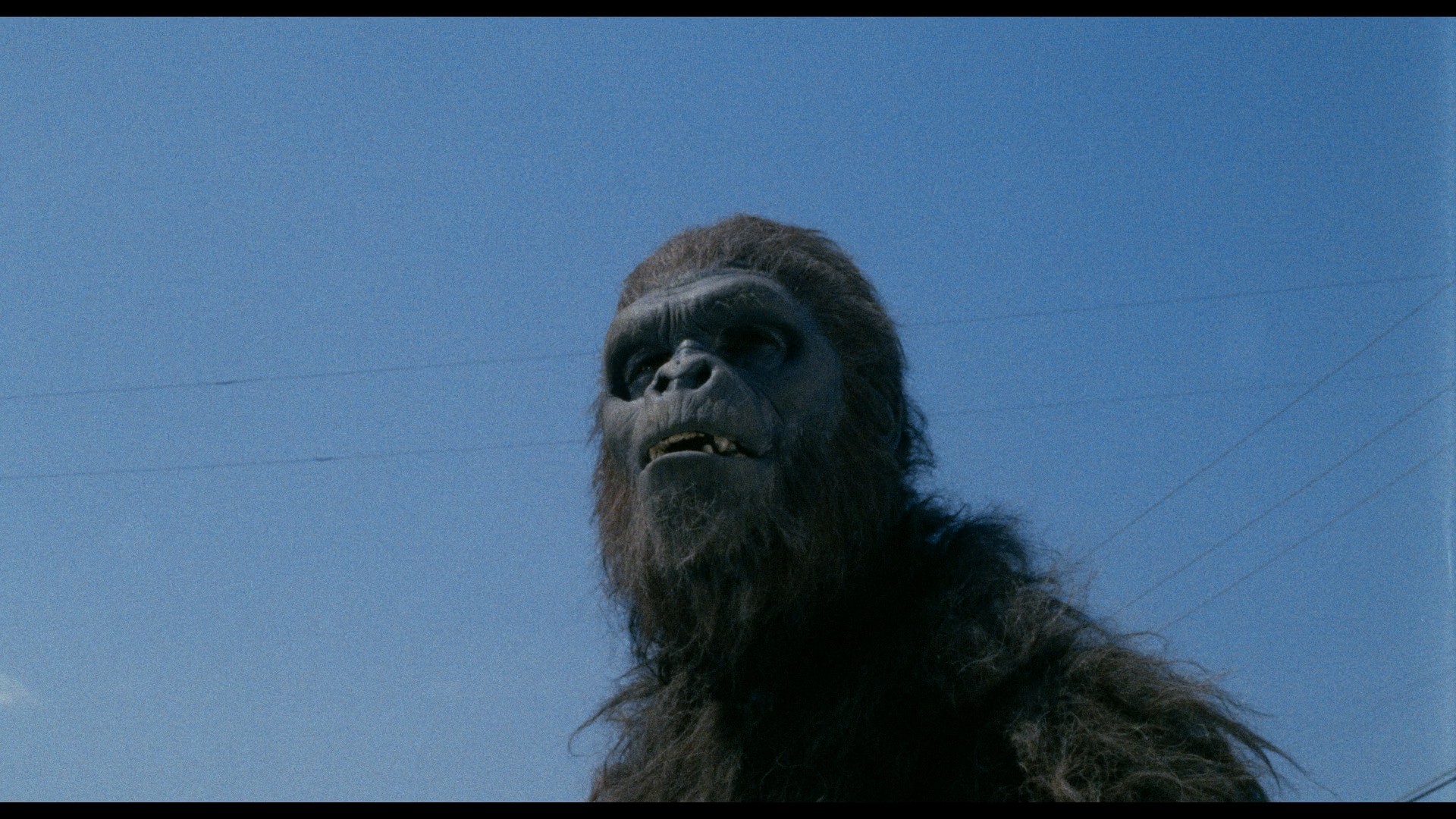 Schlock (1973) —  shot,  lighting