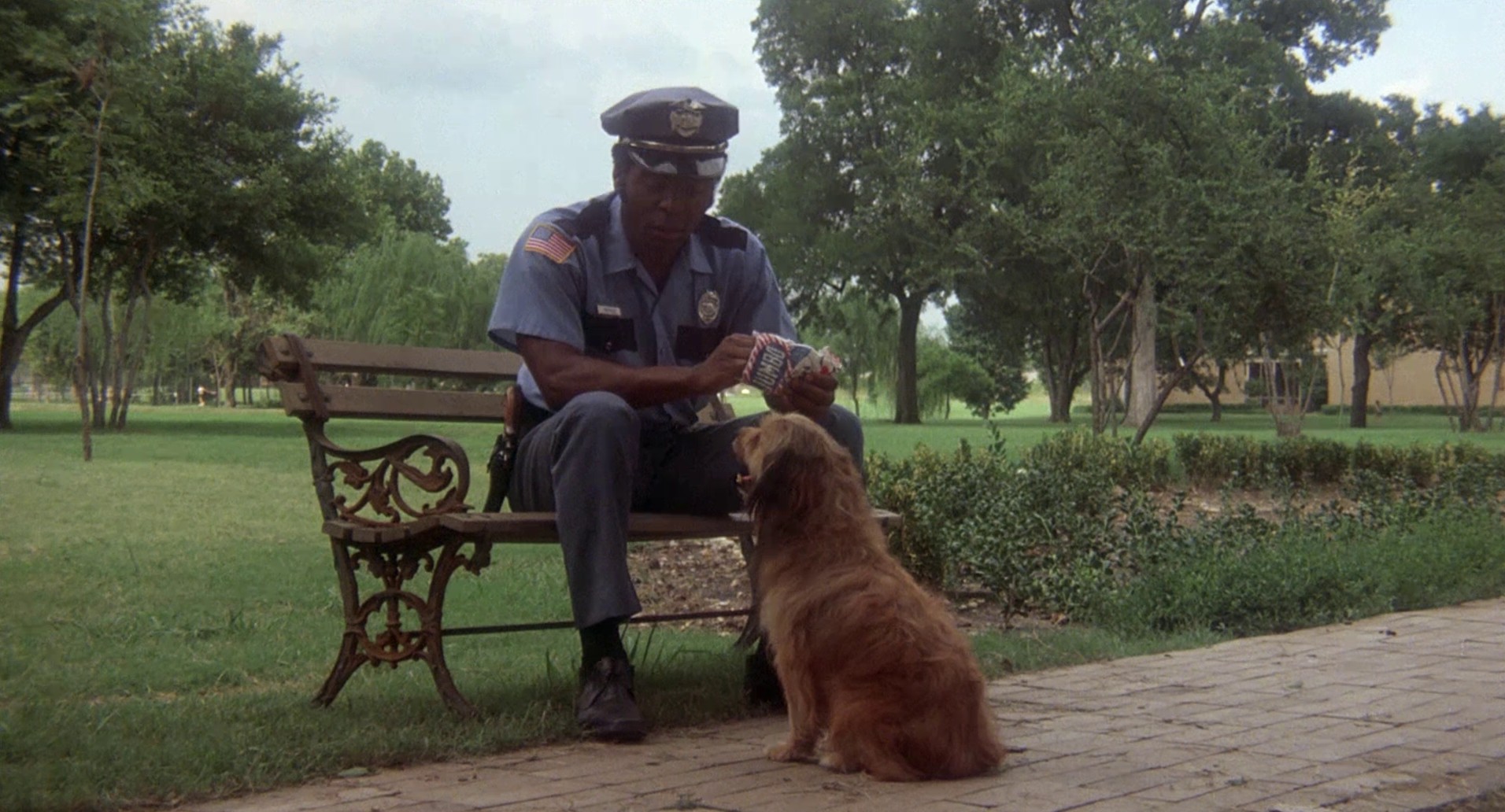 Benji (1974) —  shot,  lighting