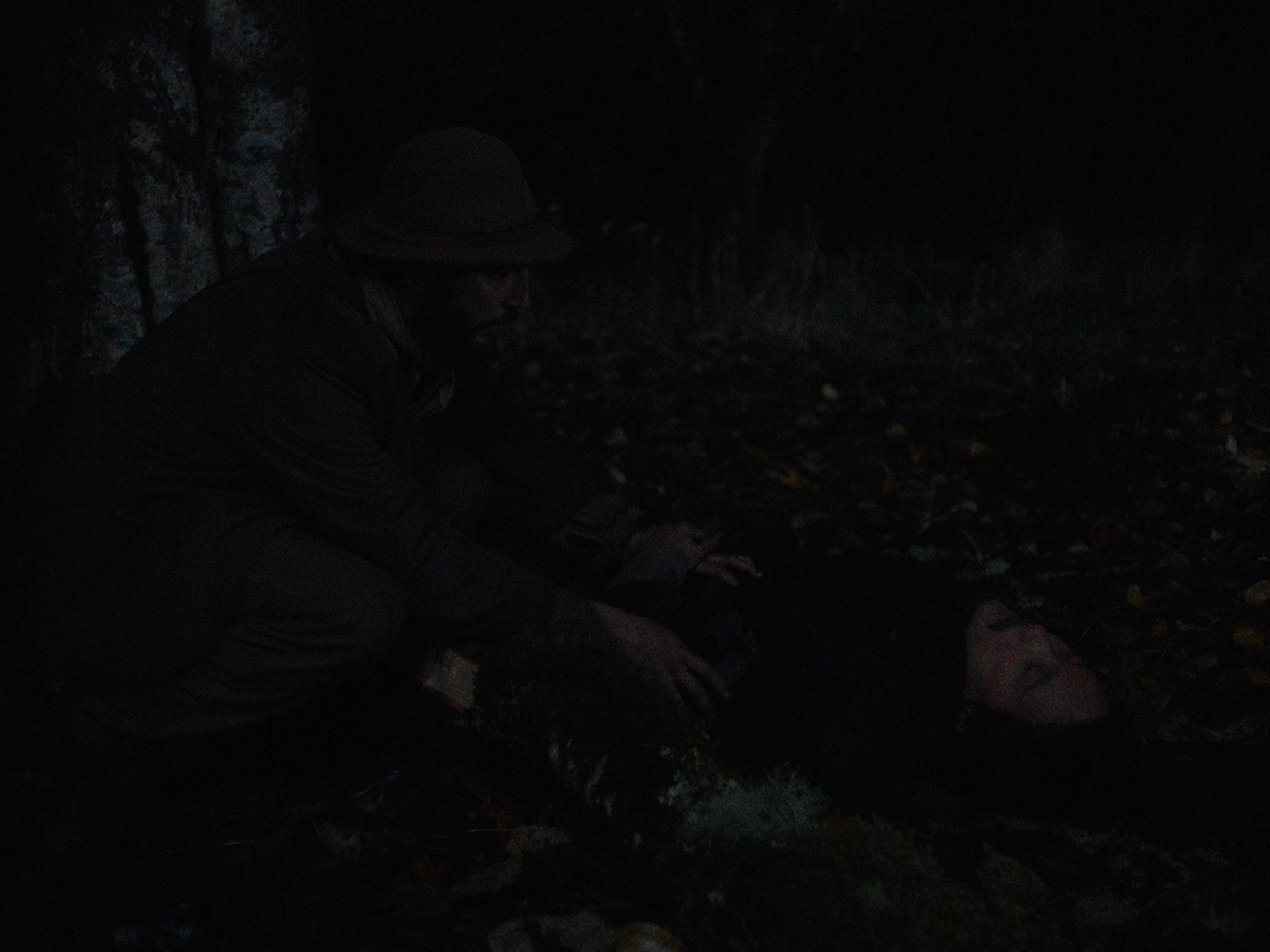 First Cow (2019) —  shot,  lighting