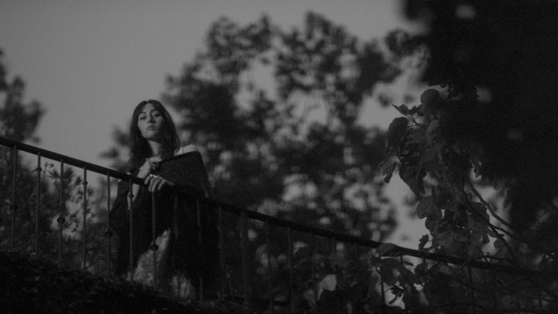 Much Ado About Nothing (2012) —  shot,  lighting