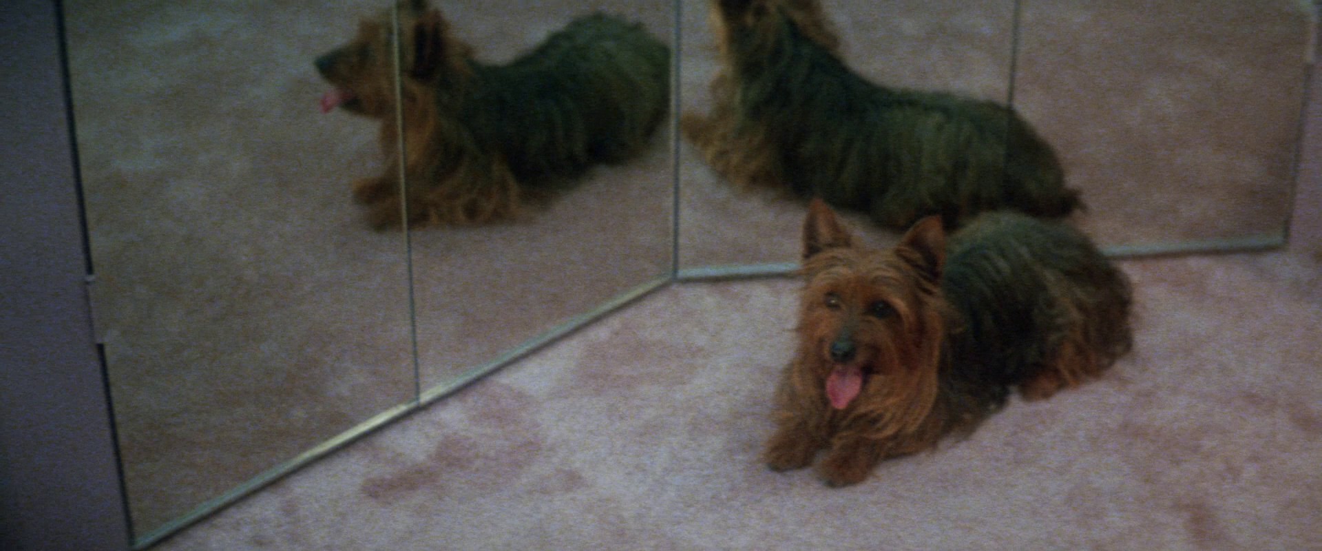 Looker (1981) —  shot,  lighting