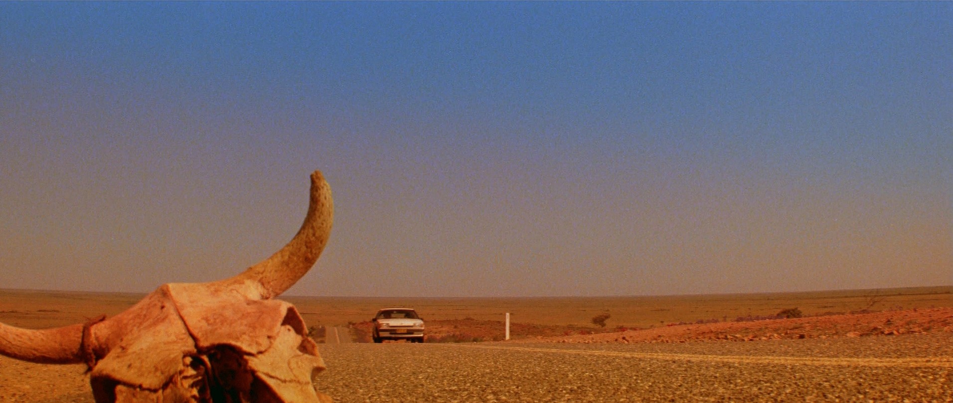 Razorback (1984) —  shot,  lighting