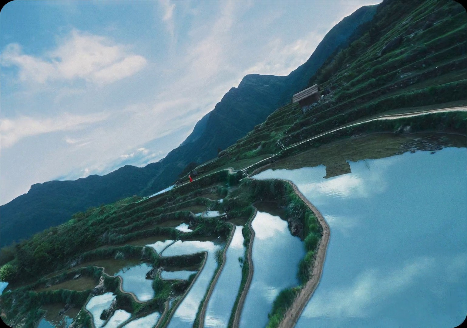 LANCÔME — THE BLOOMING LEGEND (2024) —  shot,  lighting