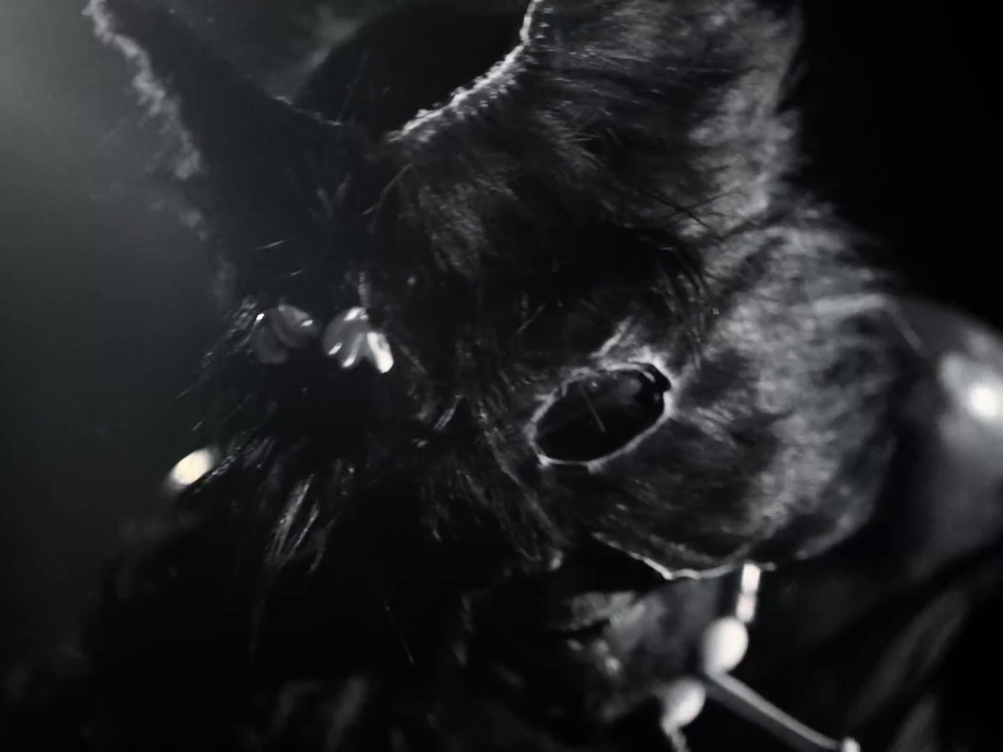 WONDERFUL (2025) —  shot,  lighting