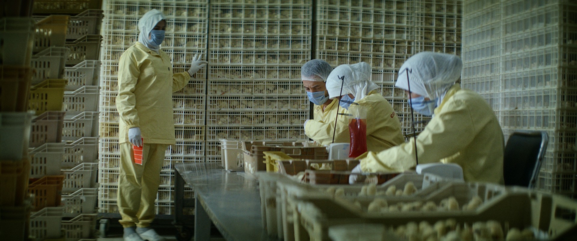 The Man Who Sold His Skin (2020) —  shot,  lighting