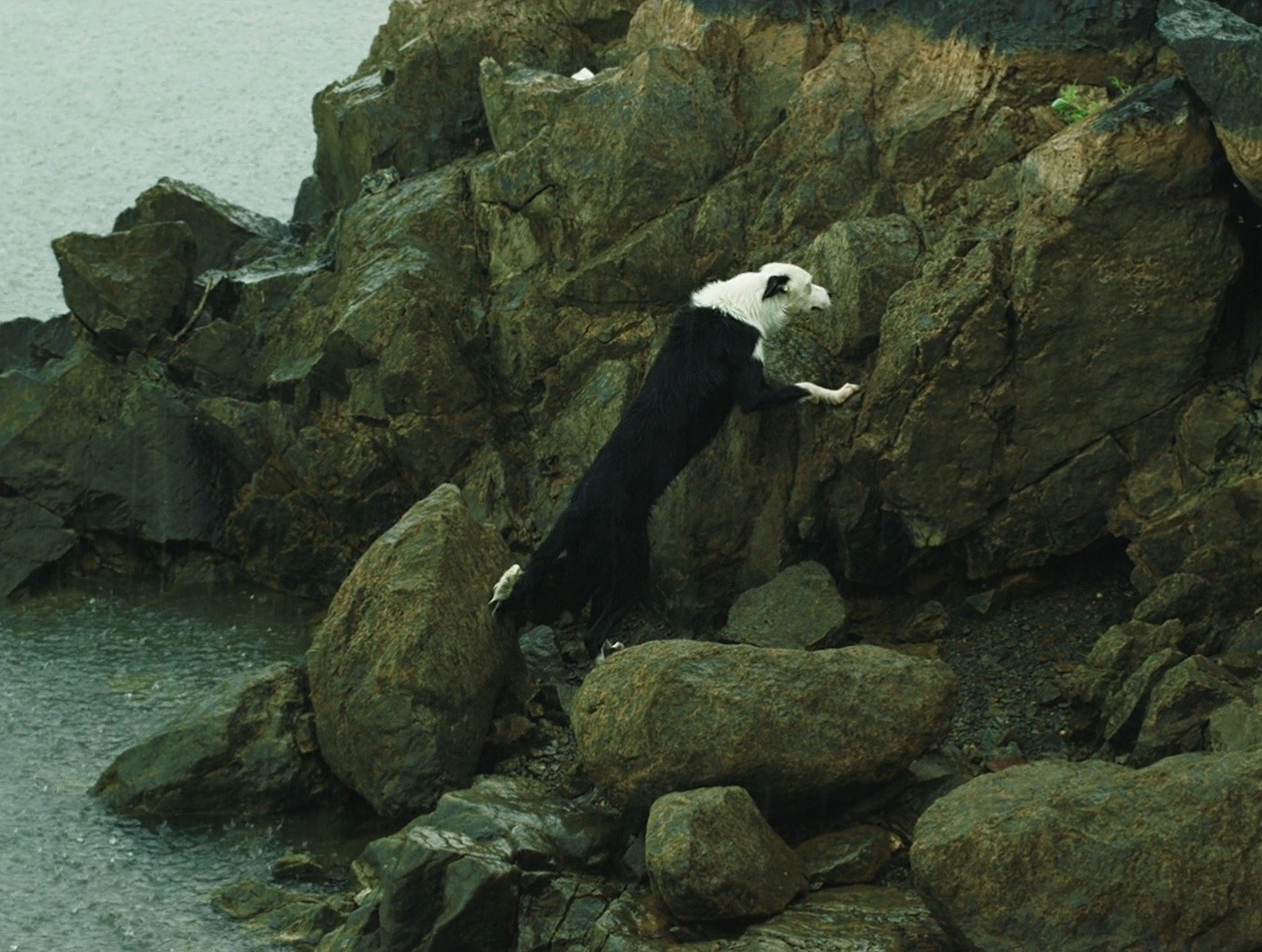 The Unseen River (2020) —  shot,  lighting