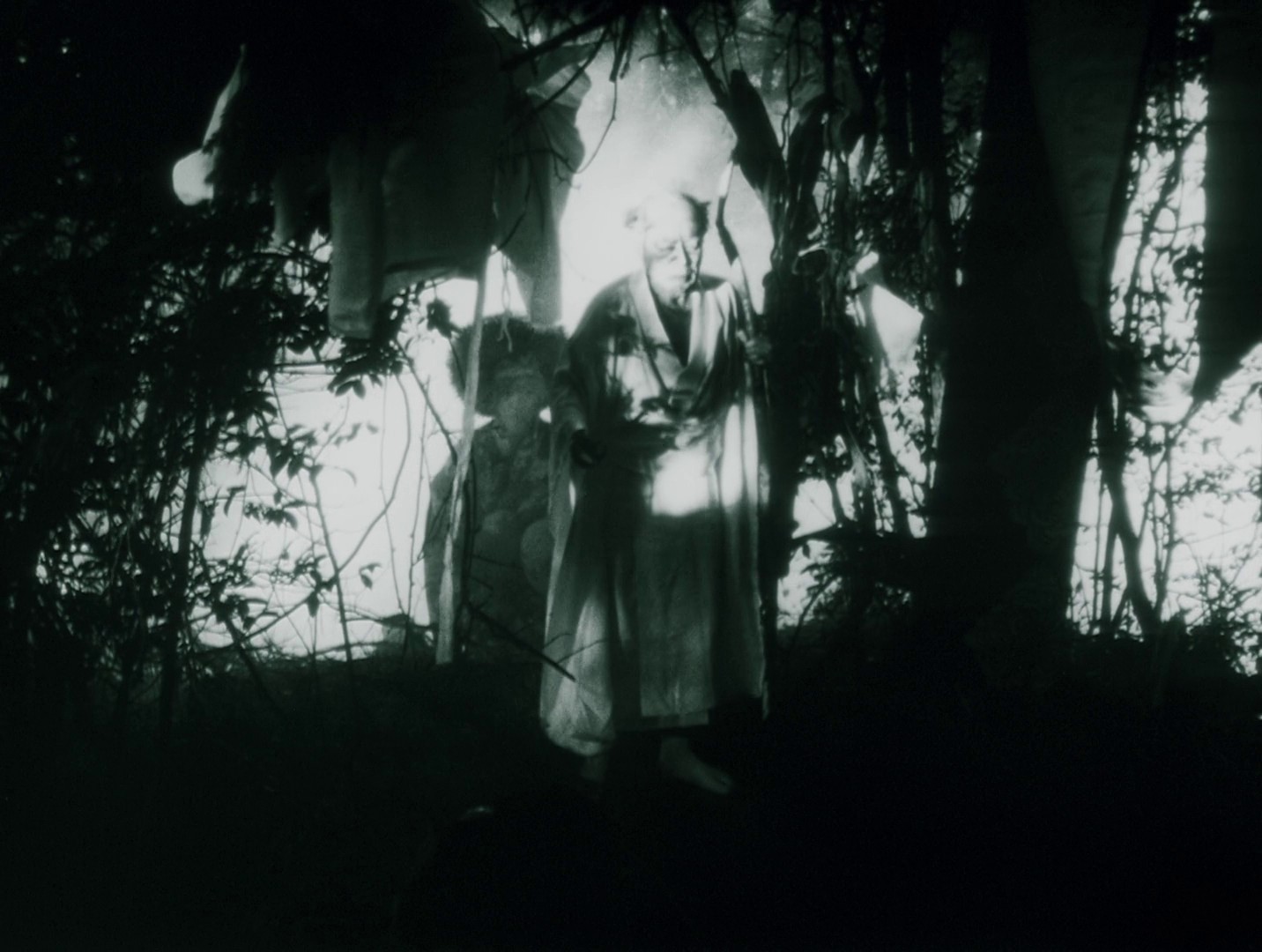 Throw Away Your Books, Rally in the Streets (1971) —  shot,  lighting