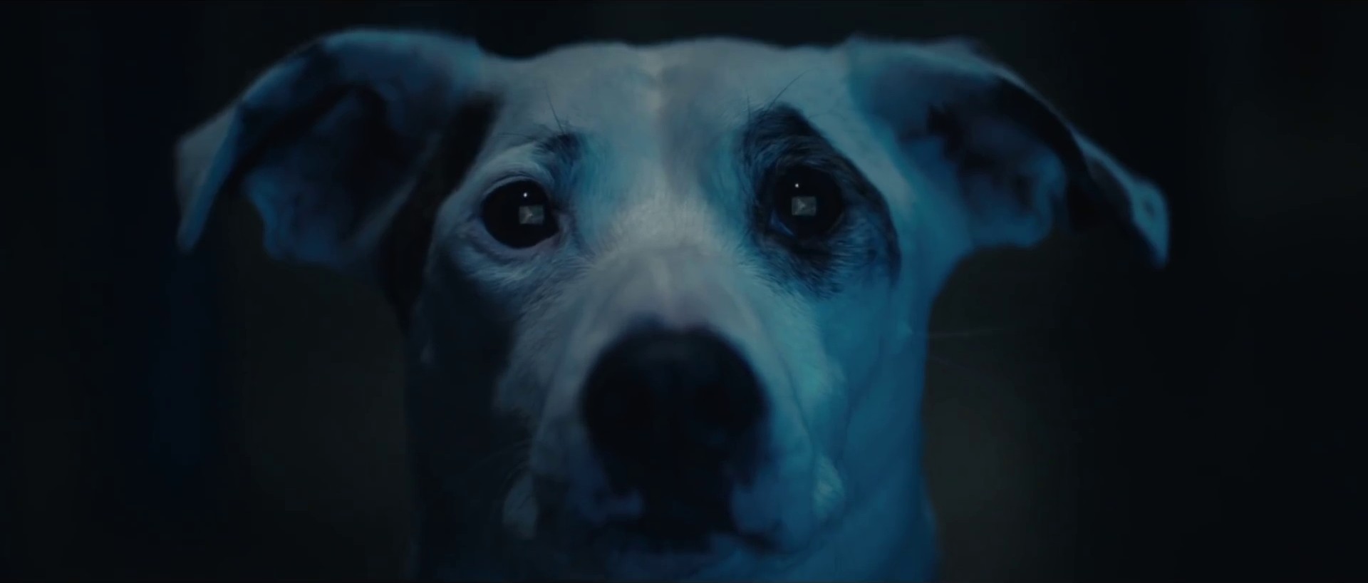 We've Got To Try (2019) —  shot,  lighting