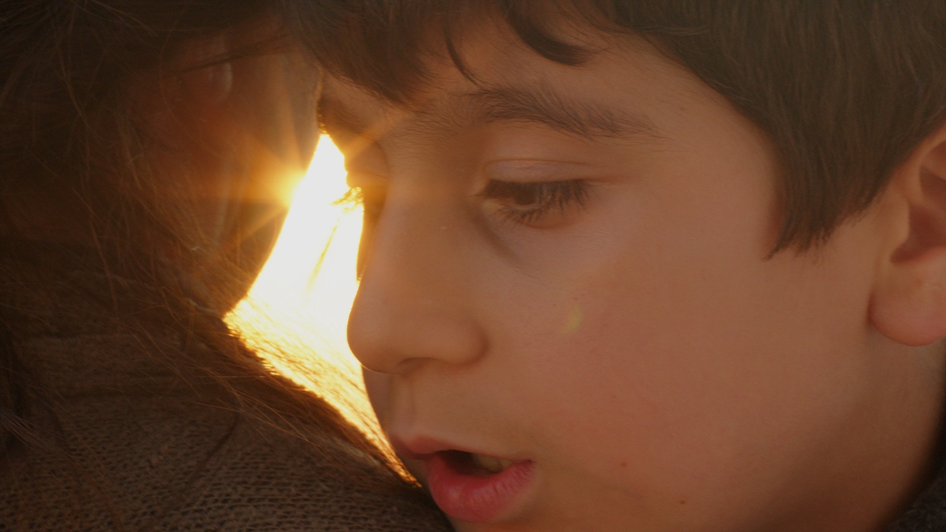 Lost Birds (2015) —  shot,  lighting