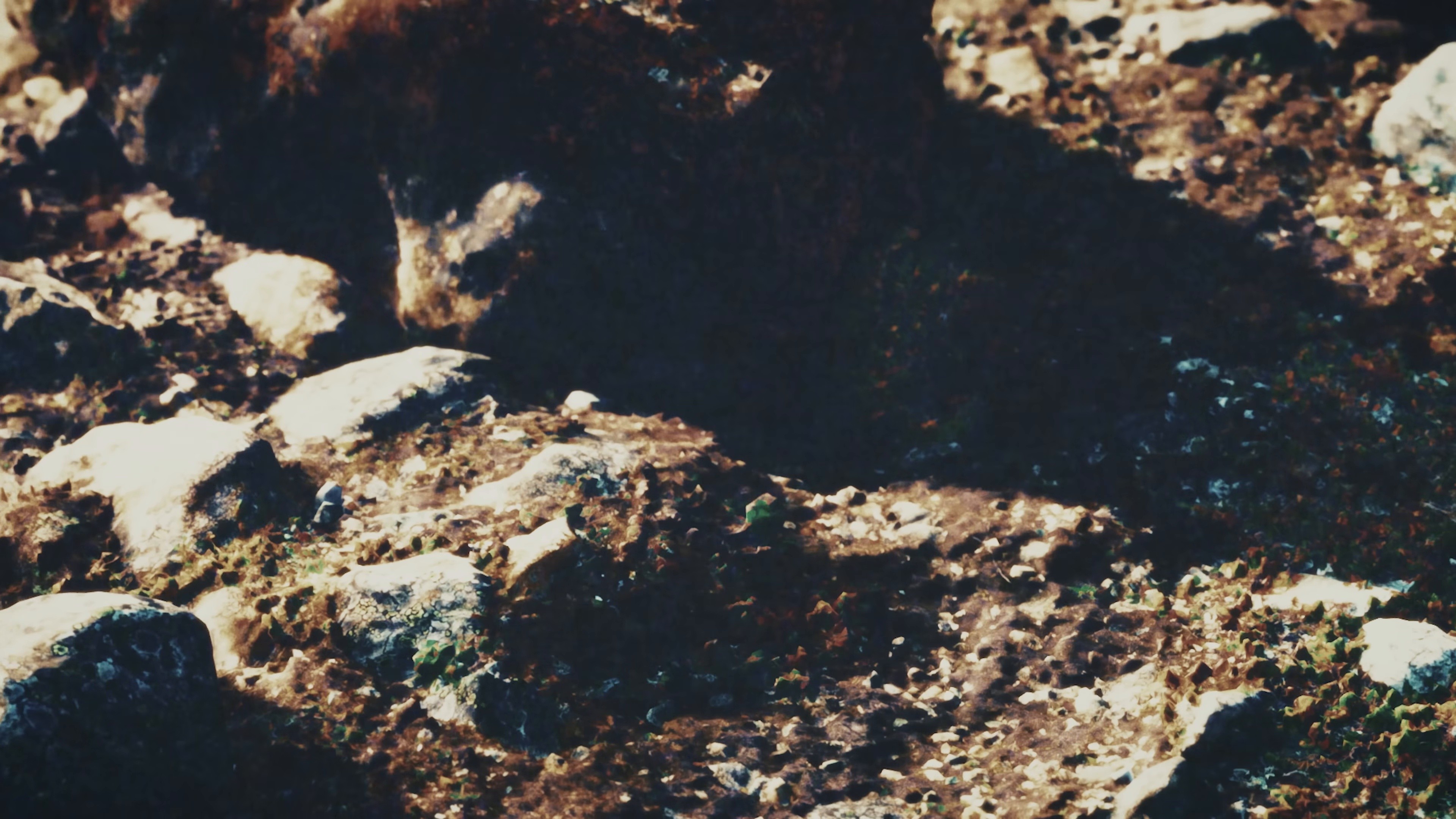 DARK MOON (2025) —  shot,  lighting