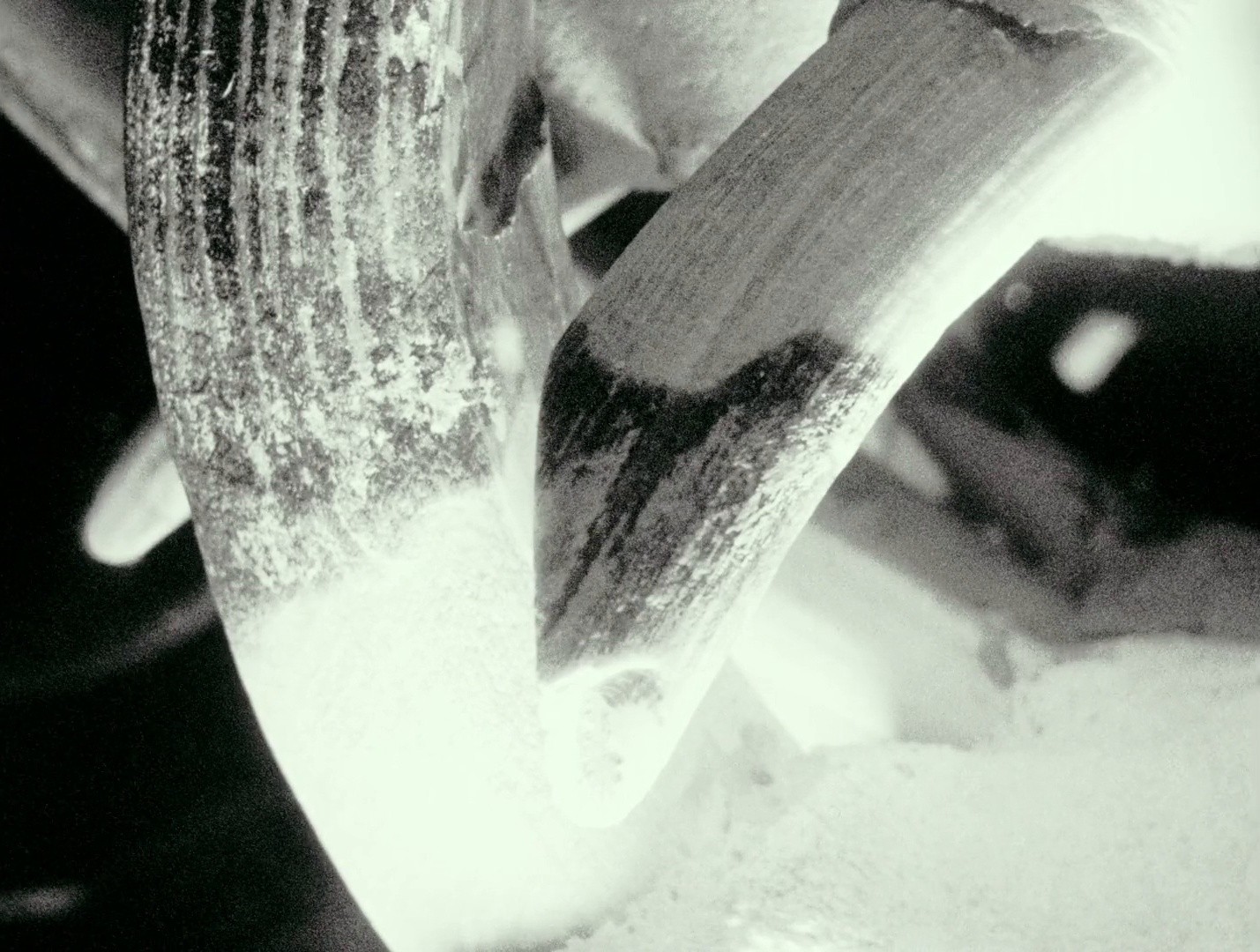 Pepe (2024) —  shot,  lighting