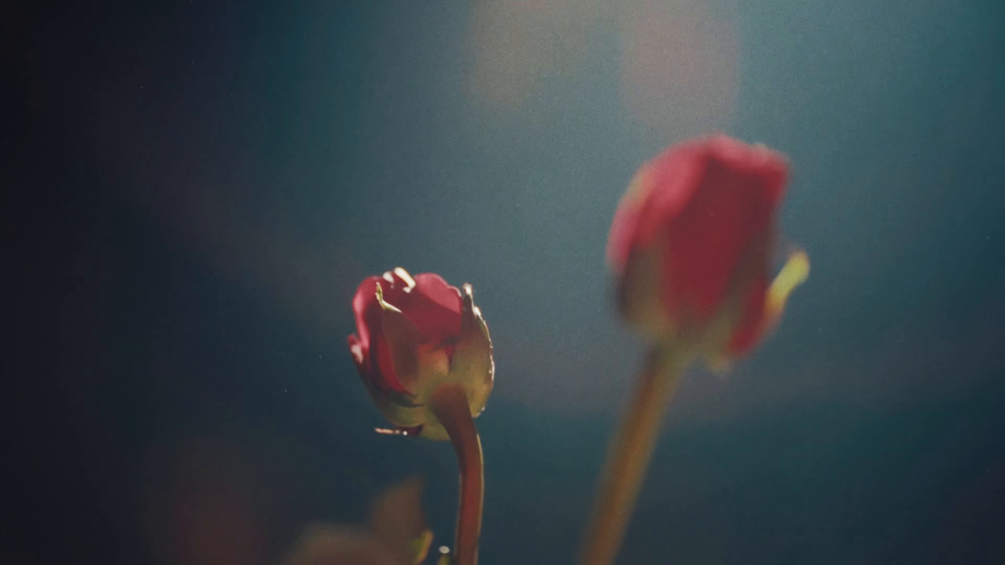 Wasn't You (2024) —  shot,  lighting