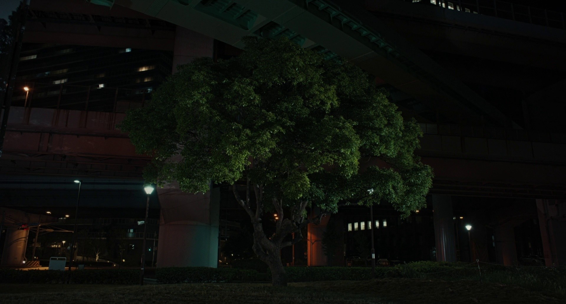 Happyend (2024) —  shot,  lighting