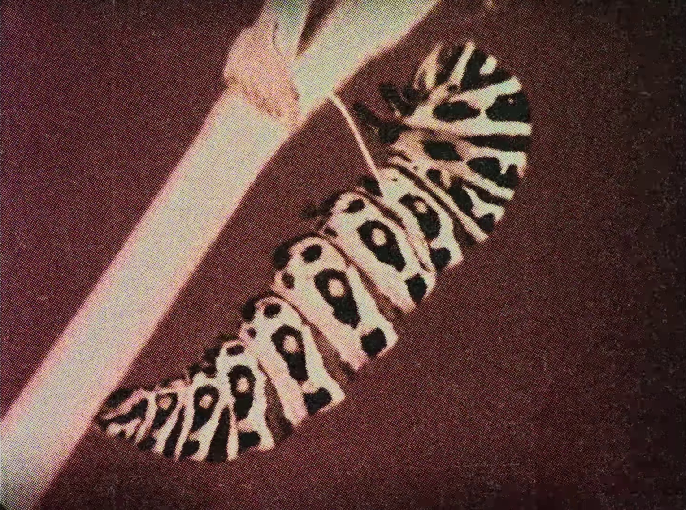 boys, bugs and men (2024) —  shot,  lighting