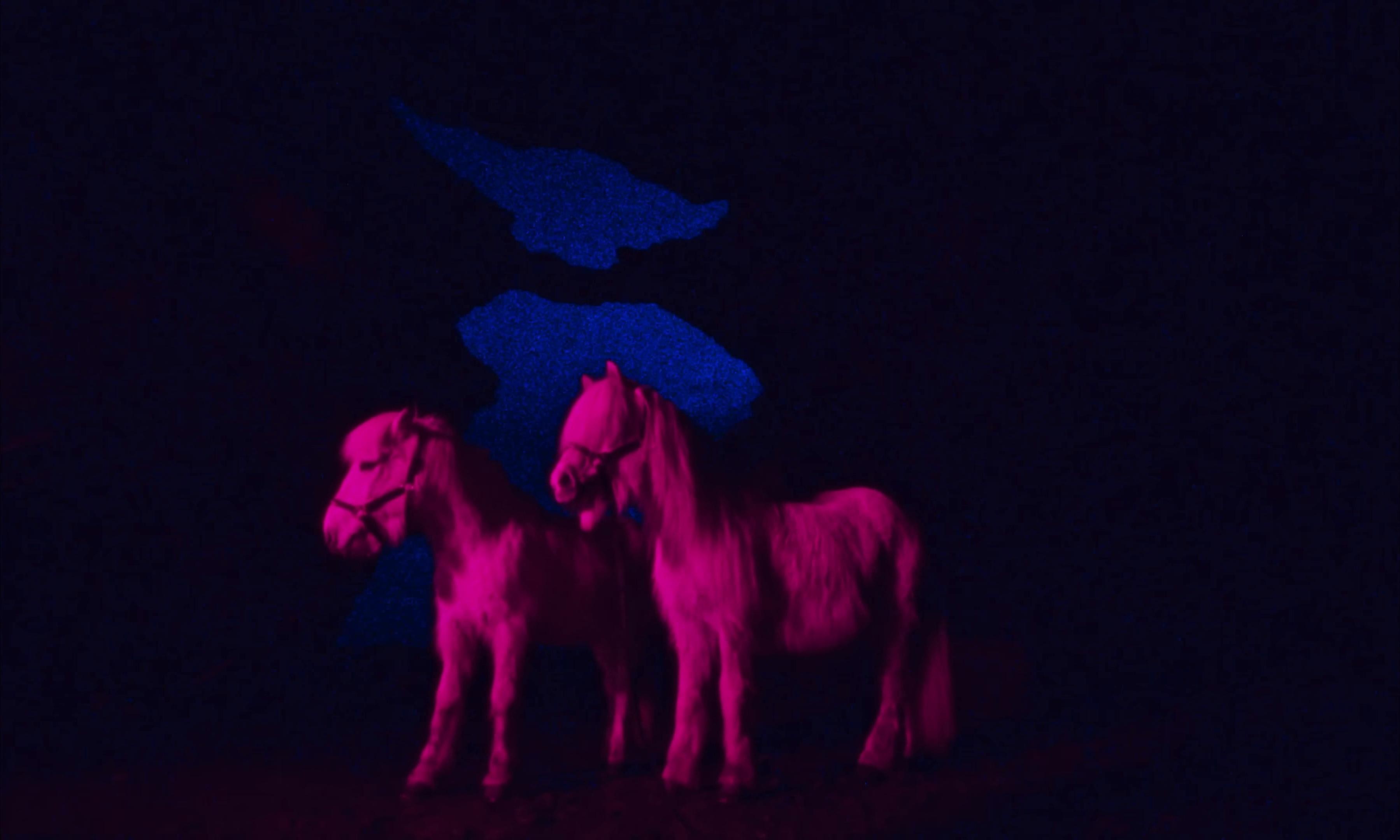 Headphones On (2025) —  shot,  lighting