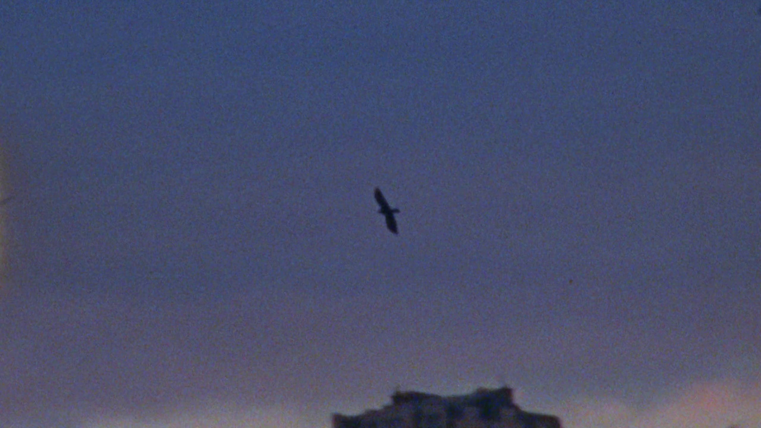 Ami Paris l Choi Woo-Shik (2024) —  shot,  lighting