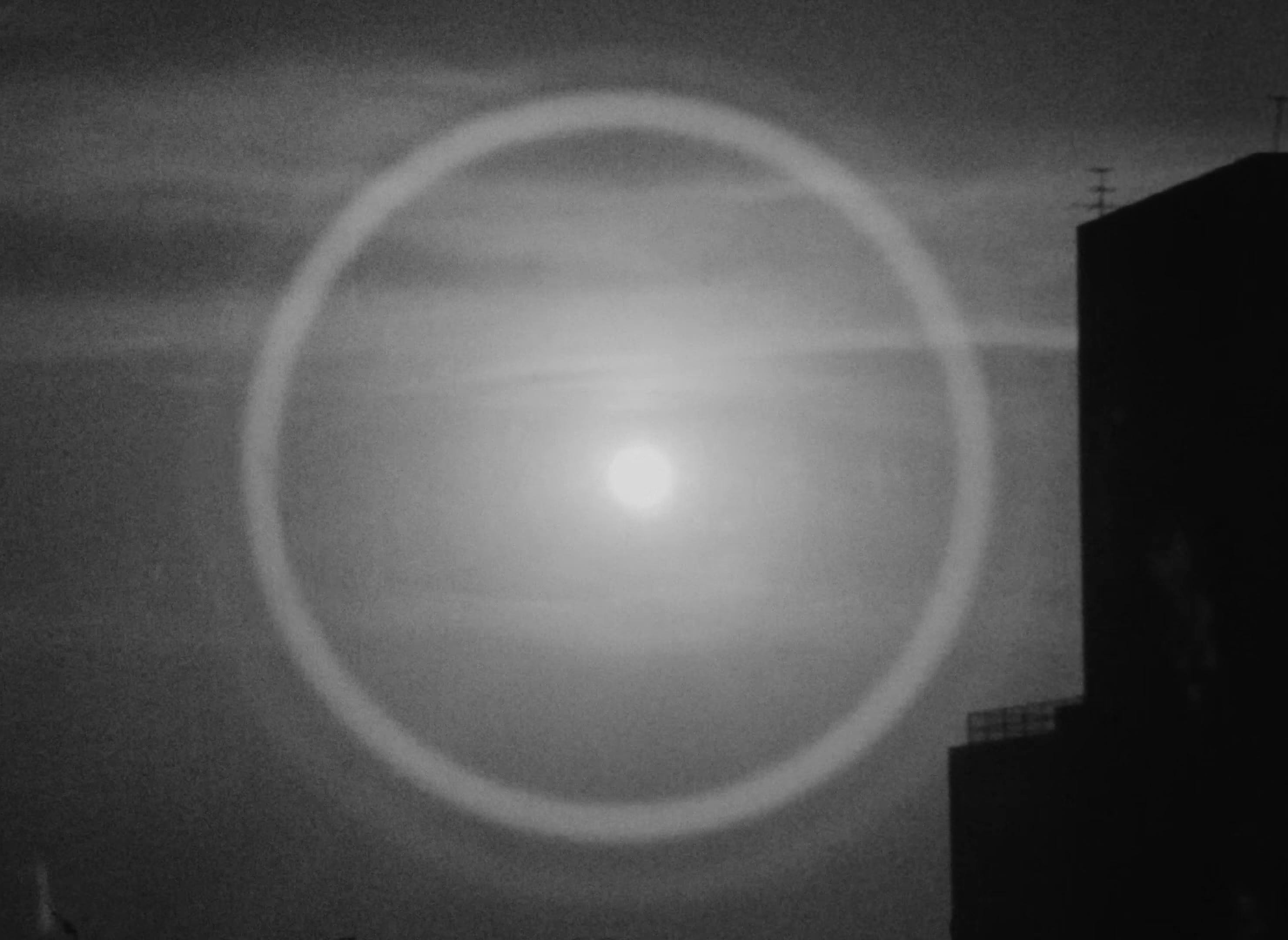 Have You Seen Your Mother (2022) —  shot,  lighting