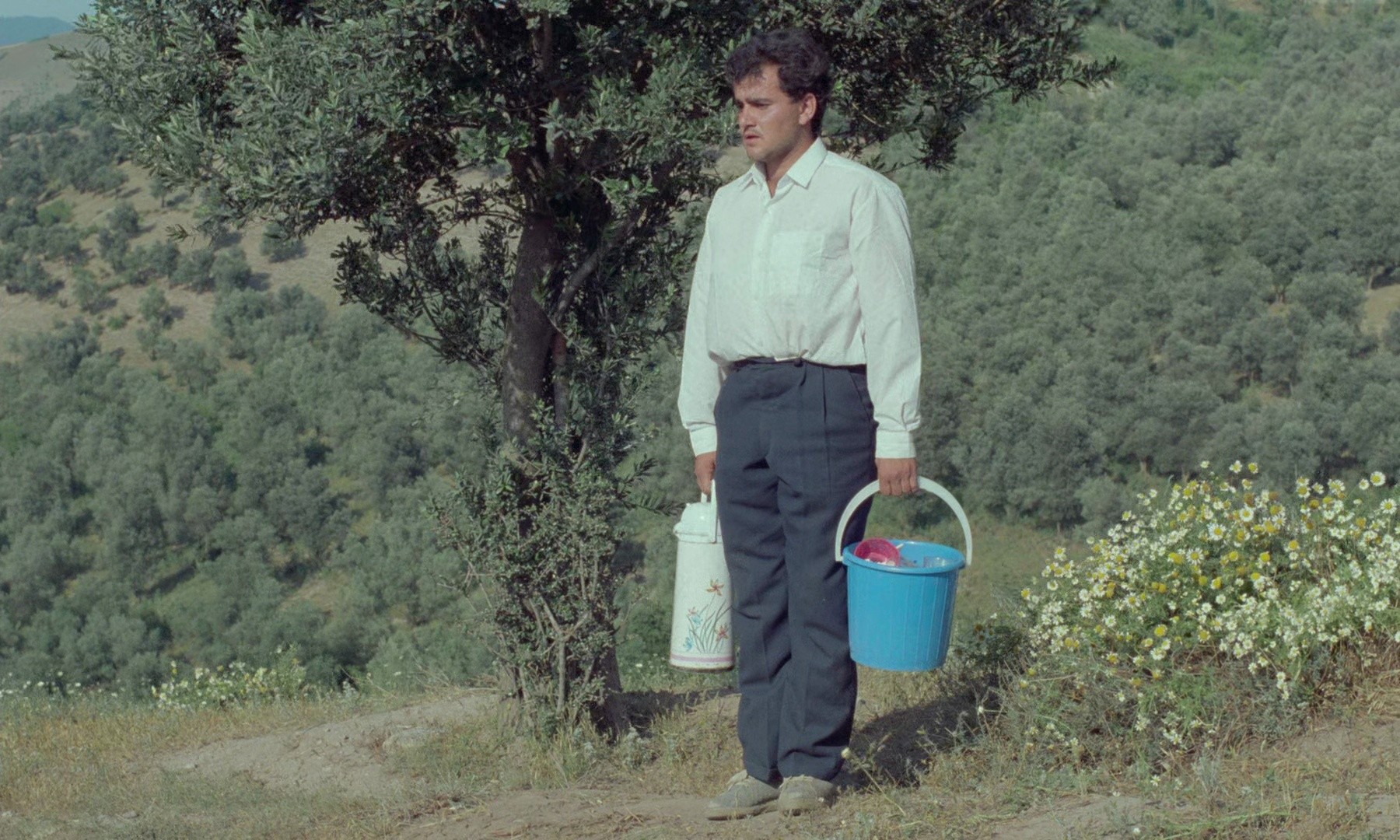 Through the Olive Trees (1995) —  shot,  lighting
