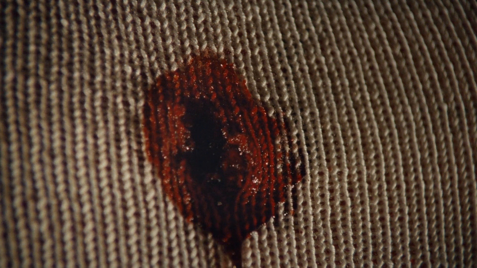 Insect (2018) —  shot,  lighting