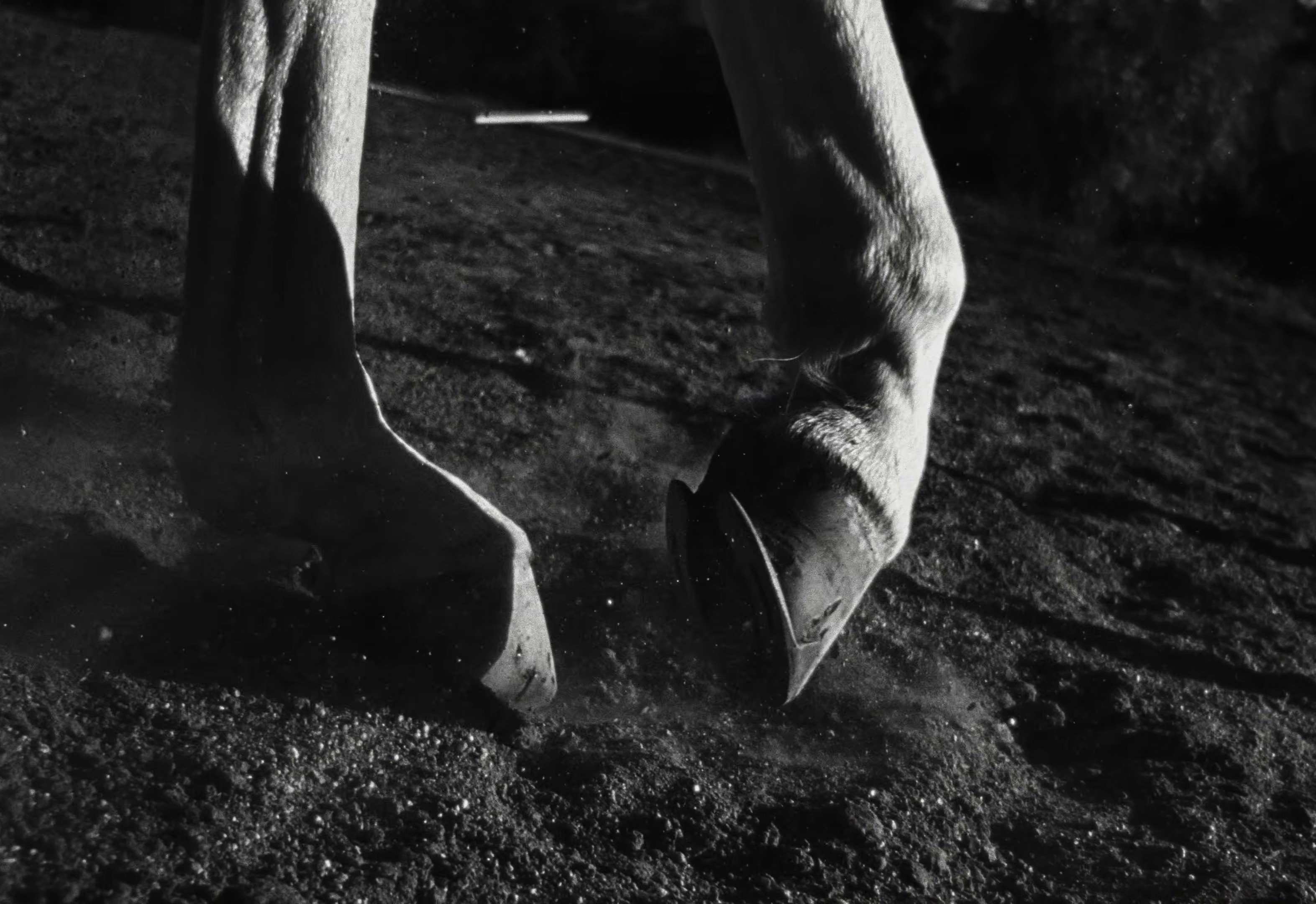 Appaloosa (2025) —  shot,  lighting