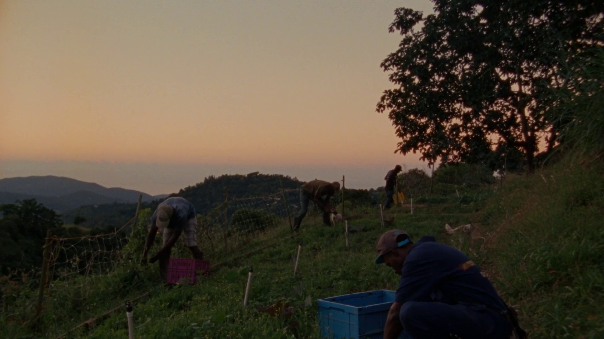 Easy skanking (2019) —  shot,  lighting