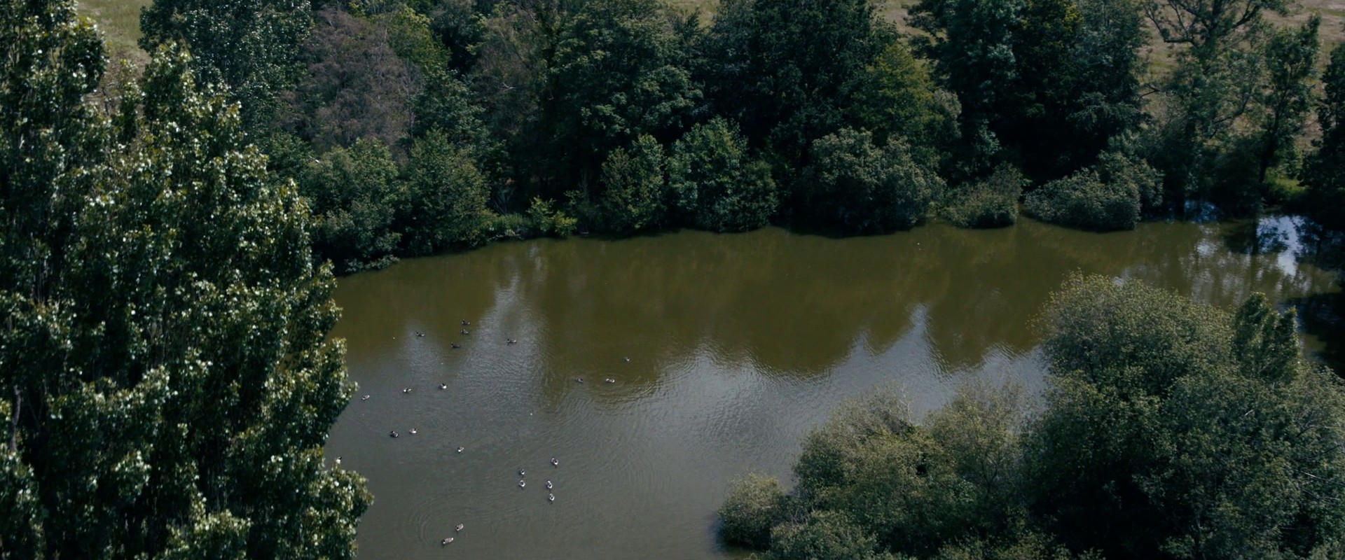 Under Pressure (2022) —  shot,  lighting