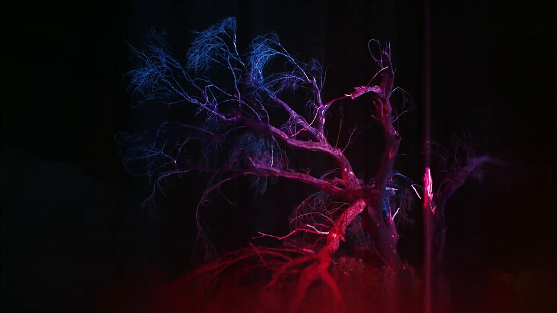 Fenty x Savage Vol. 4 | Lara (2022) —  shot,  lighting