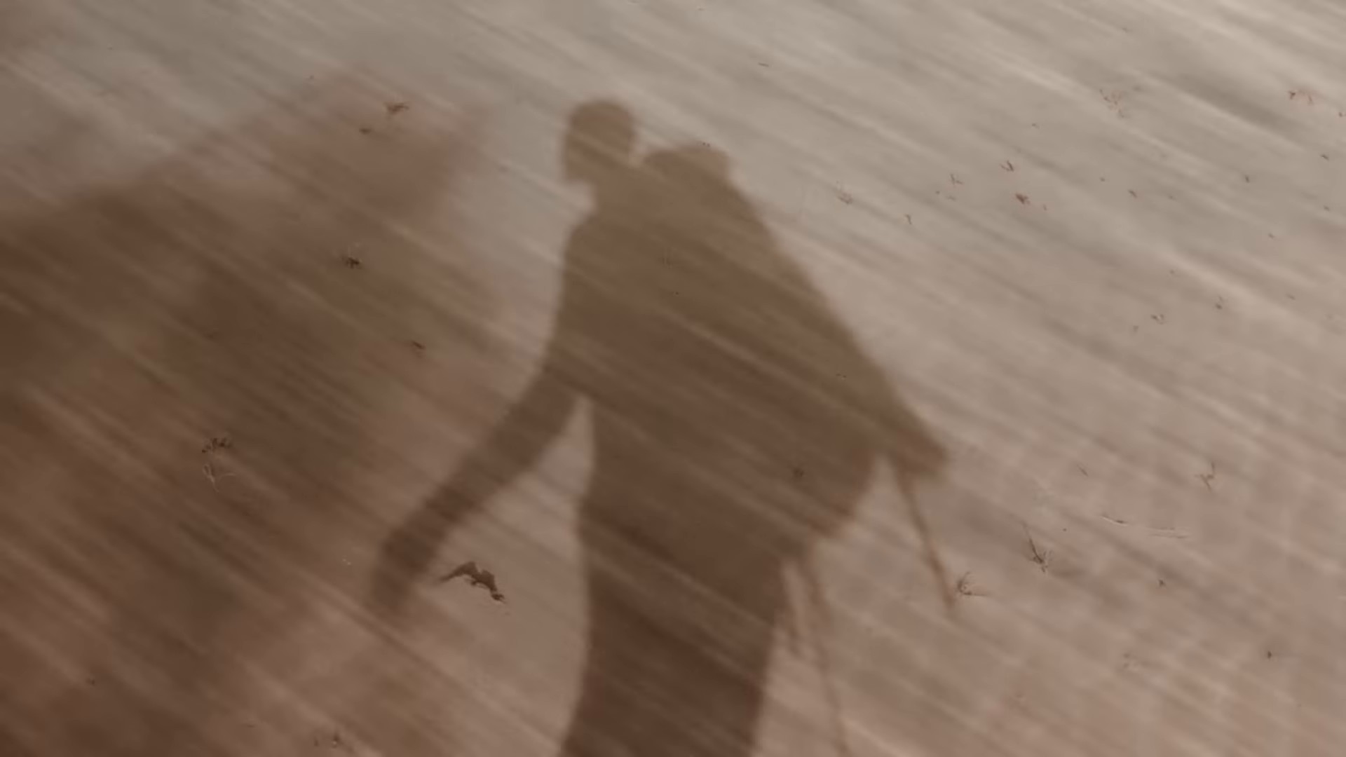 Shadows (2022) —  shot,  lighting