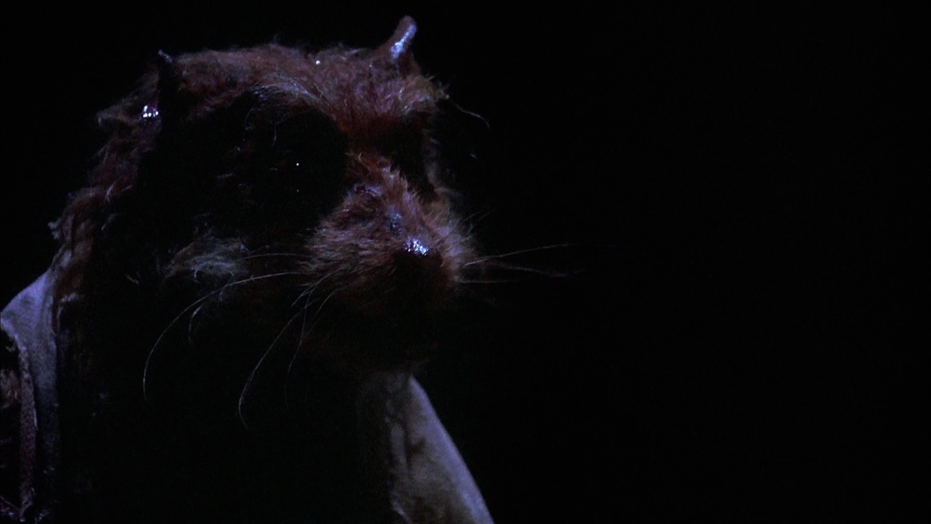 Teenage Mutant Hero Turtles (1990) —  shot,  lighting