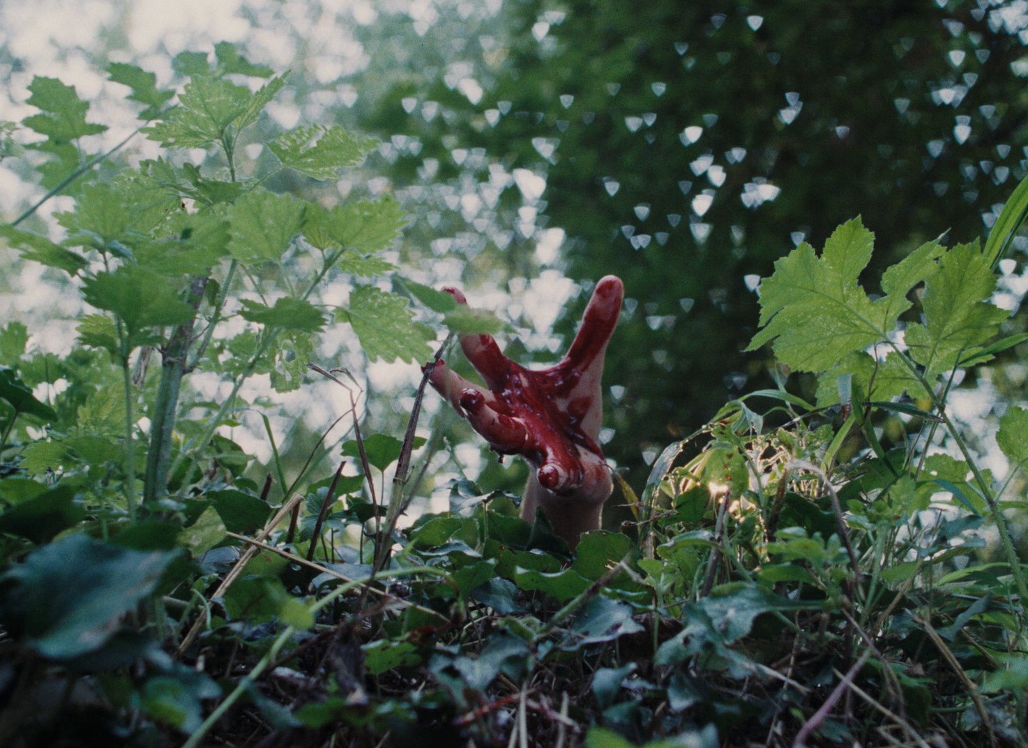 Un jeu brutal (1983) —  shot,  lighting