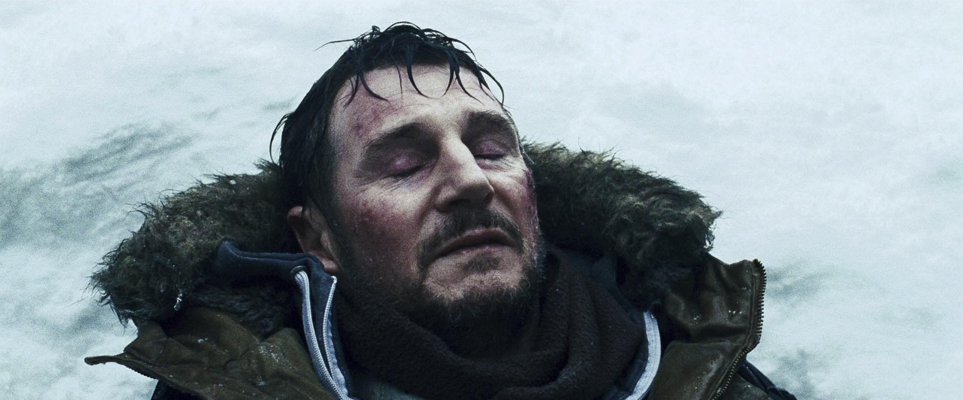 The Grey (2011) —  shot,  lighting