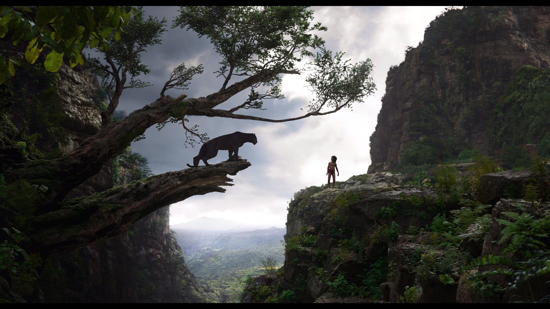 The Jungle Book (2016) —  shot,  lighting