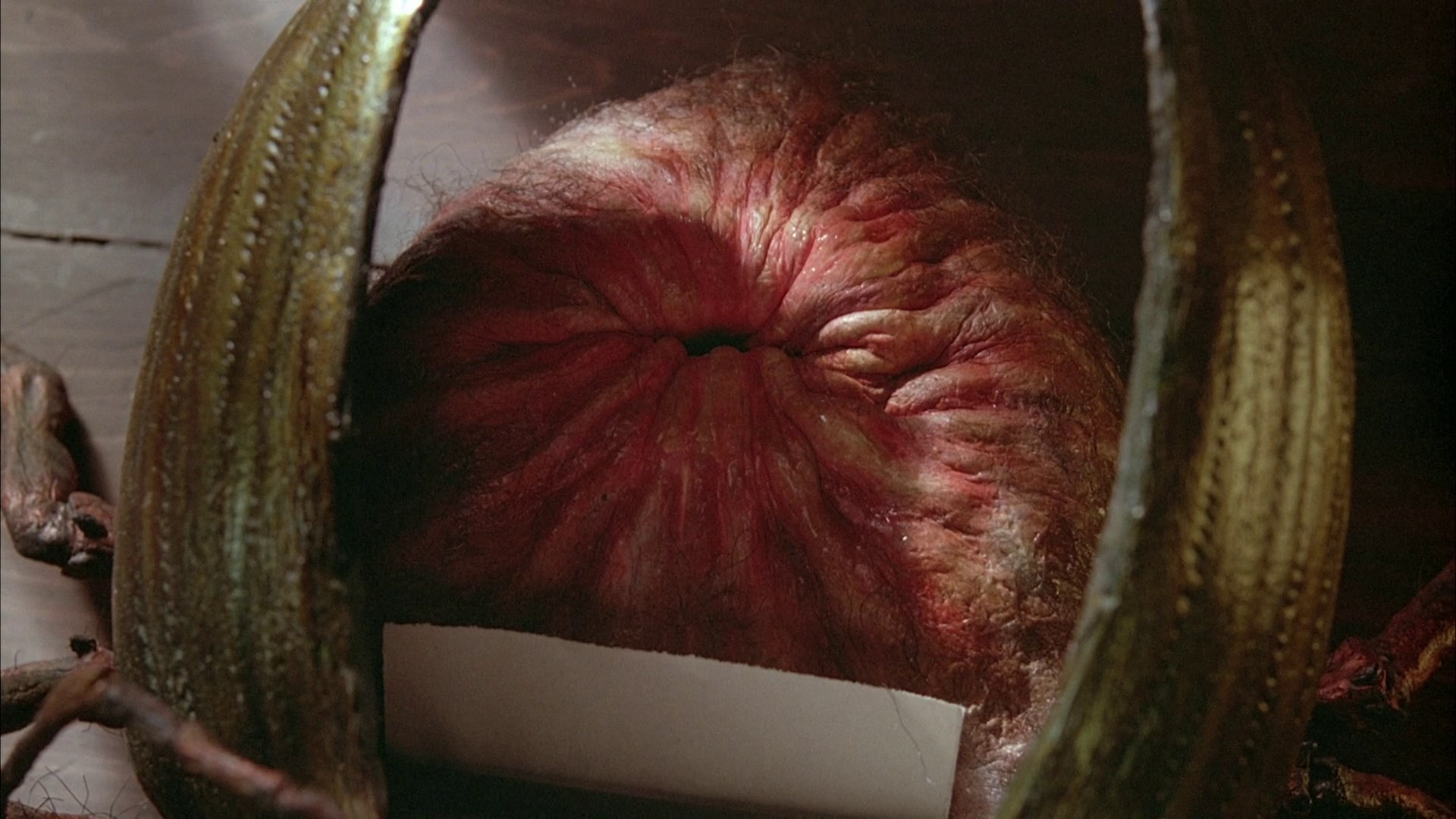 Naked Lunch (1991) —  shot,  lighting