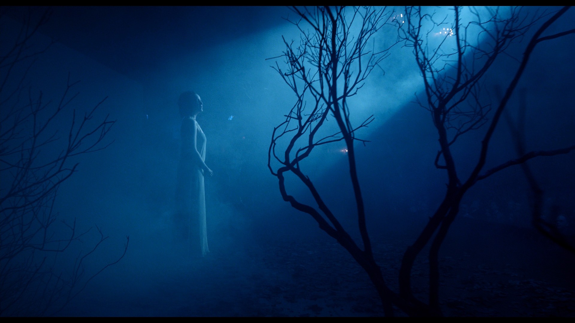 Birdman or (The Unexpected Virtue of Ignorance) (2014) —  shot,  lighting