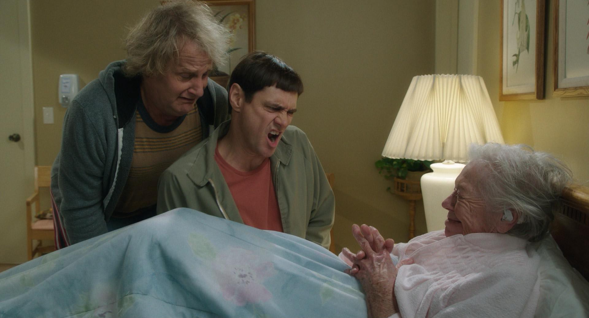 Dumb and Dumber To (2014) —  shot,  lighting