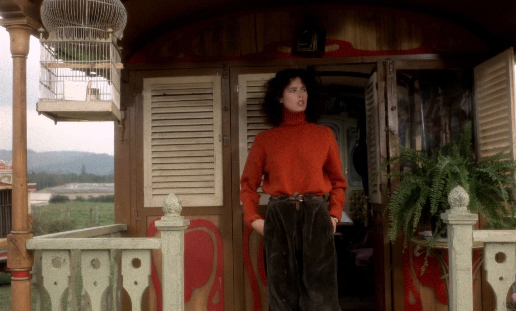 The Last Romantic Lover (1978) —  shot,  lighting