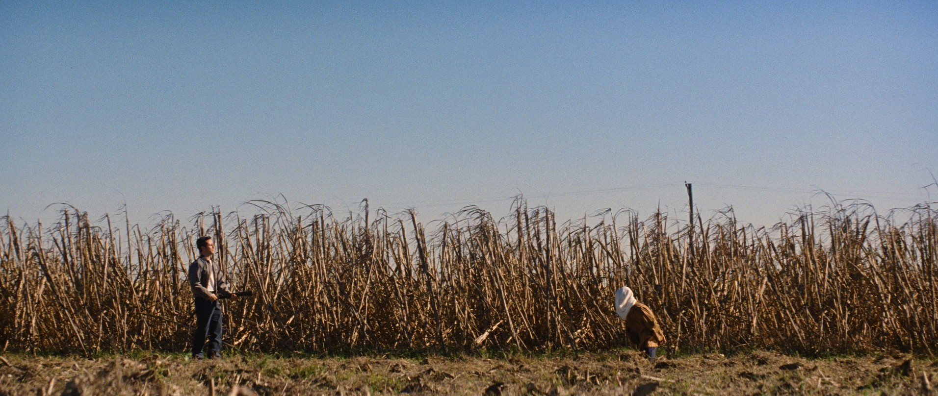 Looper (2012) —  shot,  lighting