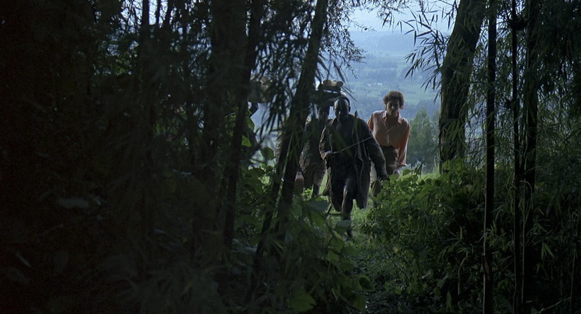 Gorillas in the Mist (1988) —  shot,  lighting