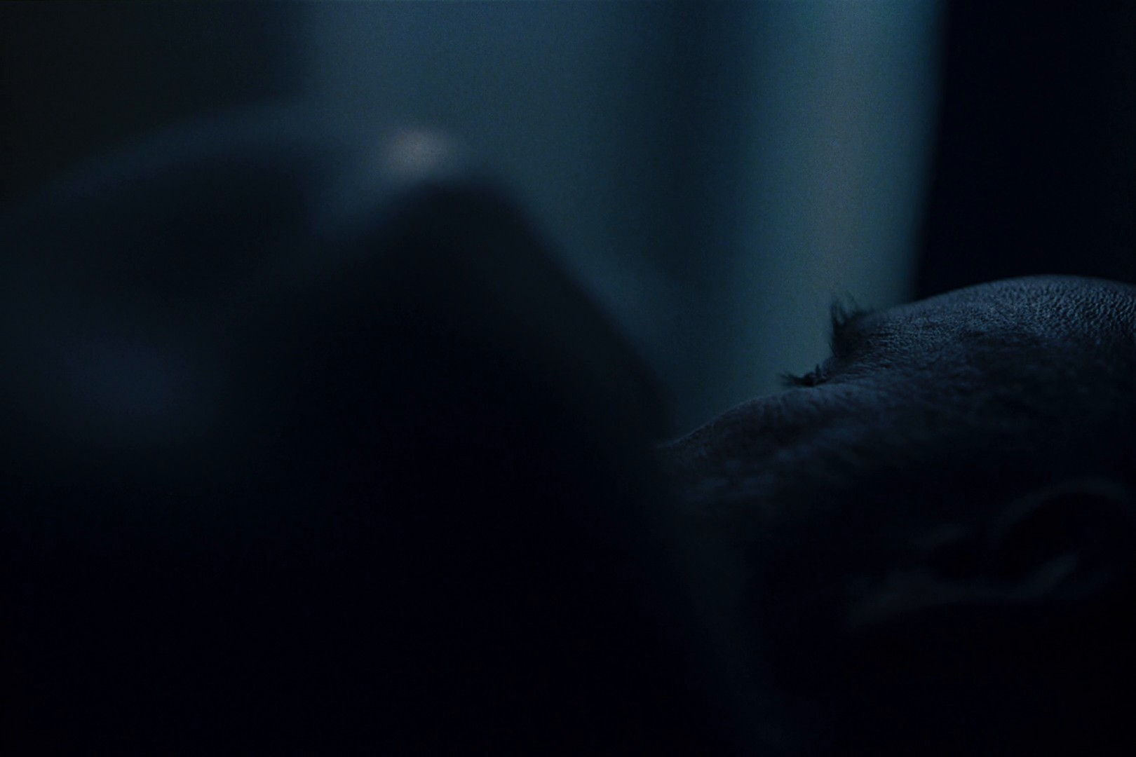 Canadian Cancer Society - Breathe Hope (2024) —  shot,  lighting