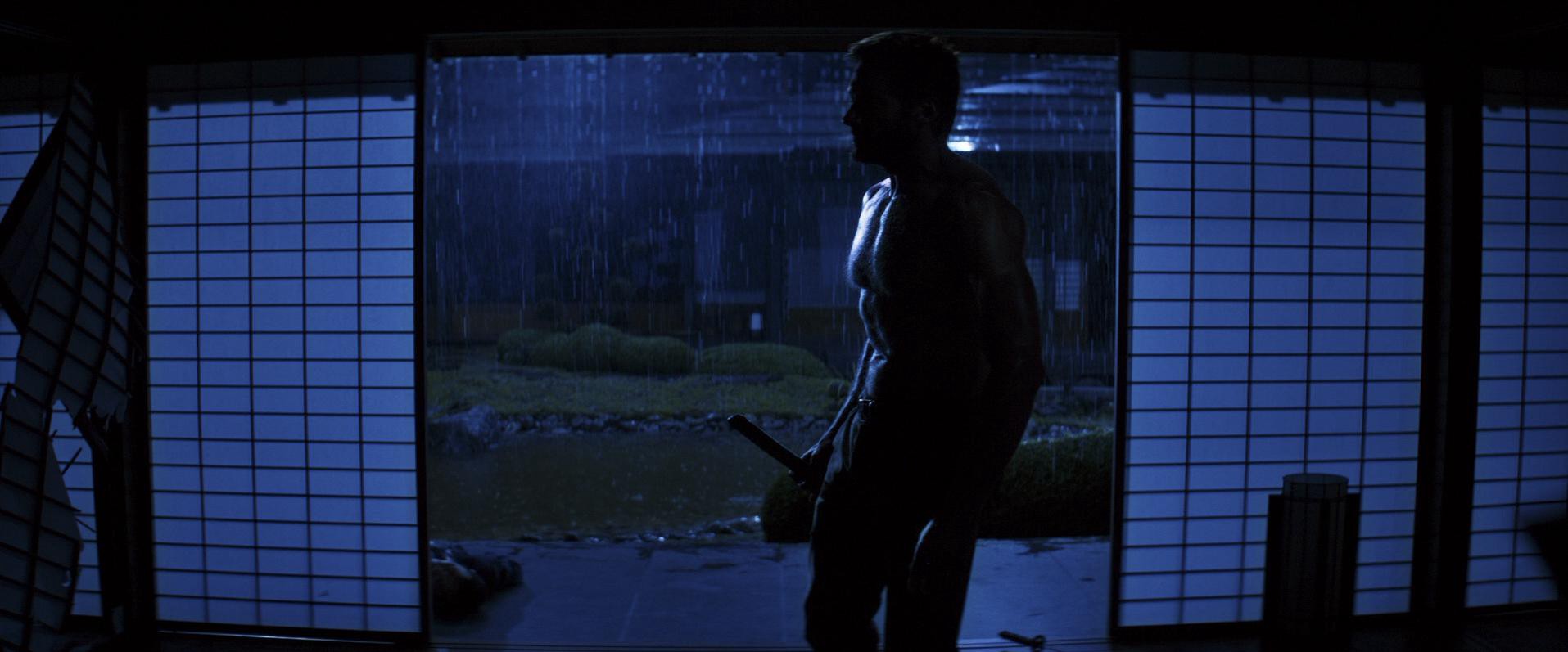 The Wolverine (2013) —  shot,  lighting