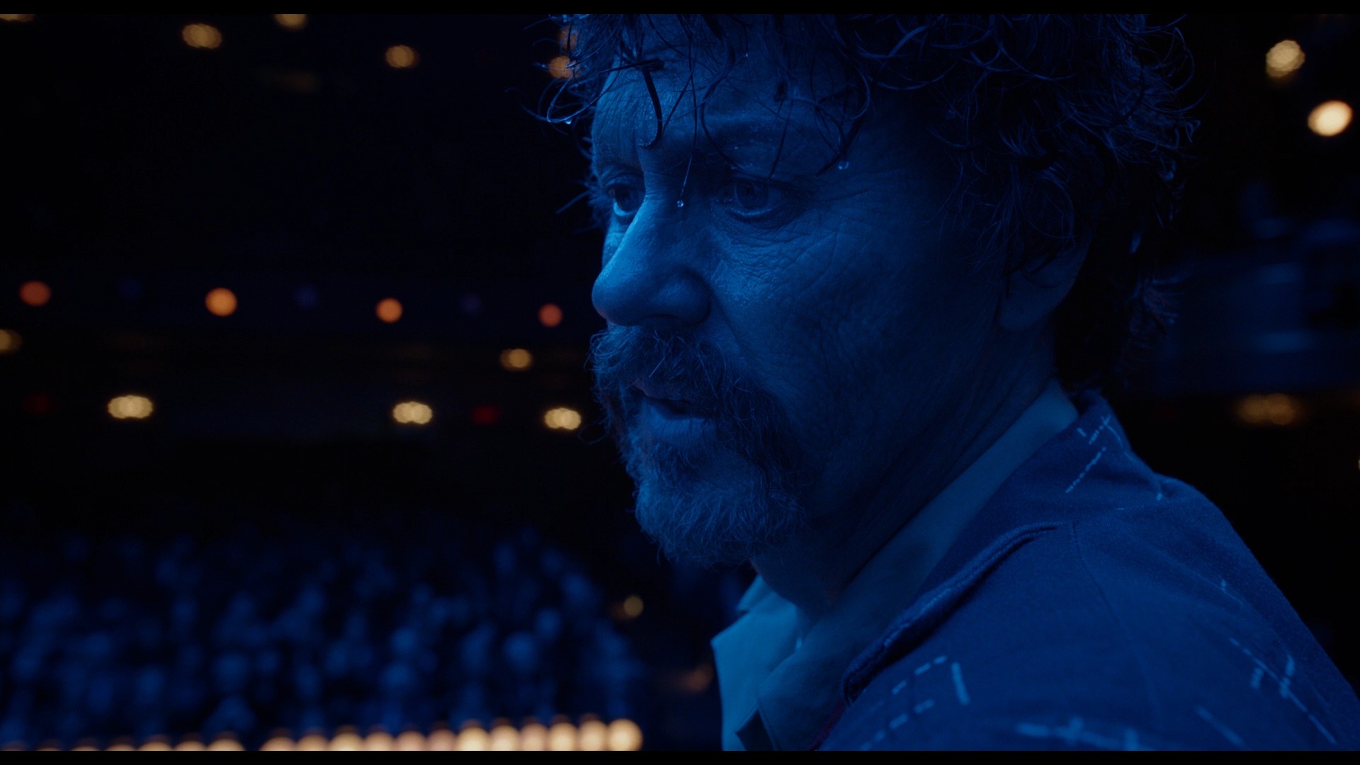 Birdman or (The Unexpected Virtue of Ignorance) (2014) —  shot,  lighting